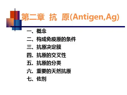 抗原与抗体