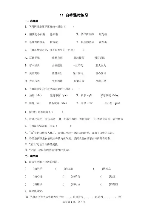 人教版中小学 白桦 试题试卷 含答案(2)