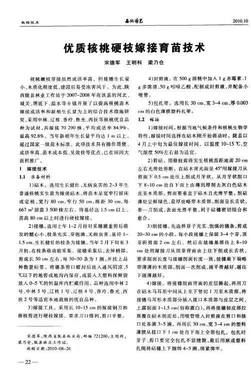 优质核桃硬枝嫁接育苗技术