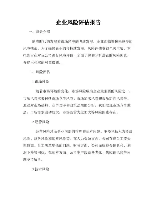 企业风险评估报告