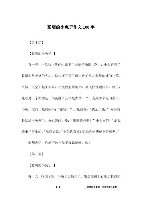 聪明的小兔子作文100字