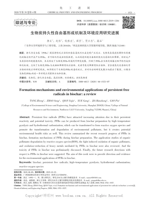 生物炭持久性自由基形成机制及环境应用研究进展