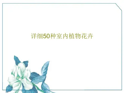 详细50种室内植物花卉PPT文档52页