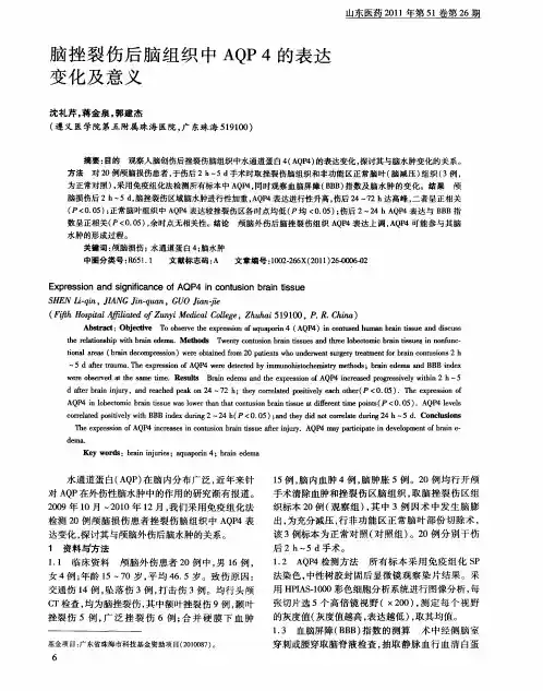 脑挫裂伤后脑组织中AQP4的表达变化及意义