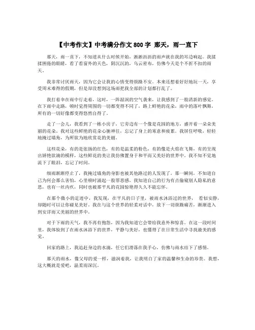 【中考作文】中考满分作文800字 那天,雨一直下