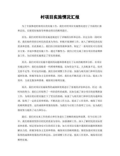 村项目实施情况汇报