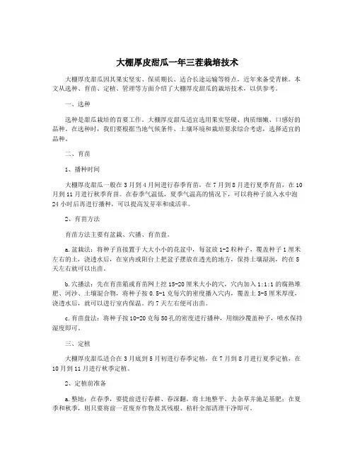 大棚厚皮甜瓜一年三茬栽培技术