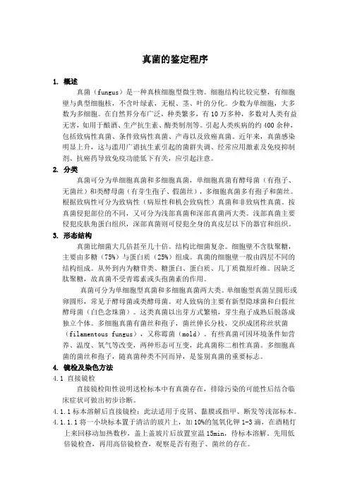 真菌的鉴定程序