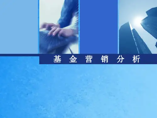 基金营销数据分析ppt课件