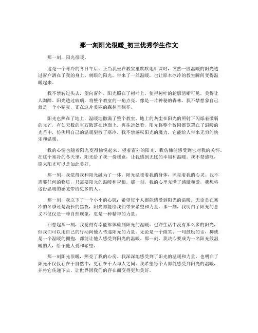那一刻阳光很暖_初三优秀学生作文