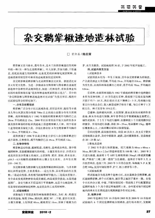 杂交鹅掌楸迹地造林试验
