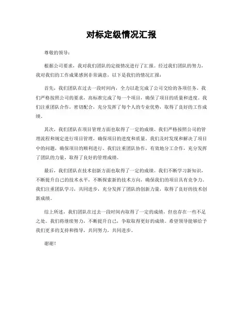 对标定级情况汇报