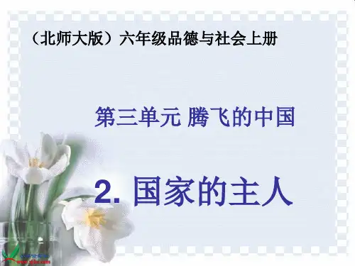 北师大版小学品德六年级上册国家的主人PPT课件-共同的责任