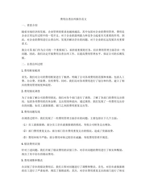 费用自查自纠报告范文