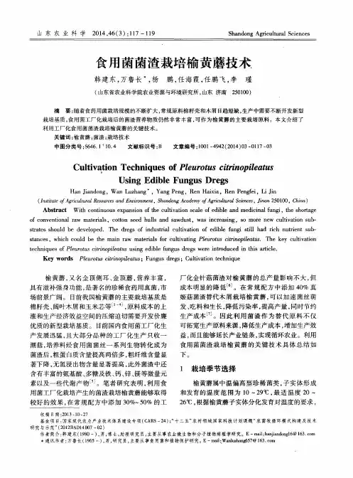 食用菌菌渣栽培榆黄蘑技术