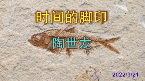 《时间的脚印》优秀PPT课件