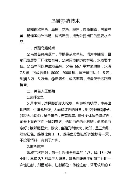 乌鳢养殖技术