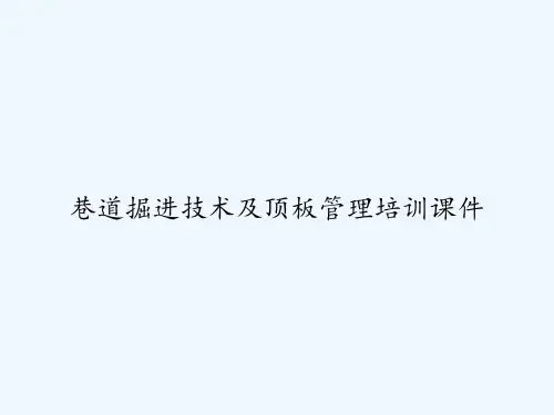 巷道掘进技术及顶板管理培训课件 PPT