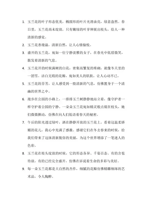 描写玉兰花的优美句子7