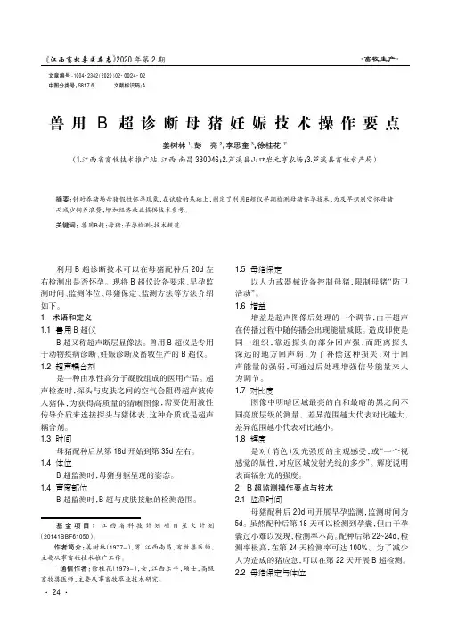 兽用B超诊断母猪妊娠技术操作要点