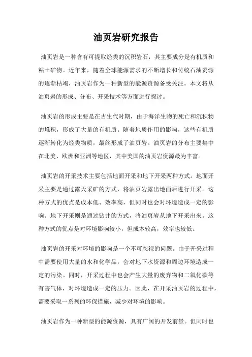 油页岩研究报告