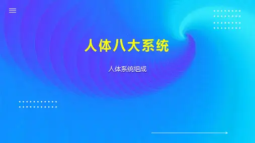 人体八大系统