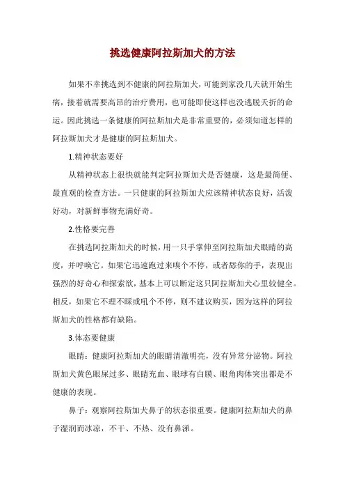 挑选健康阿拉斯加犬的方法