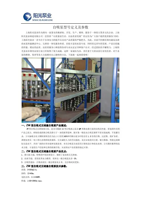 自吸泵型号定义及参数