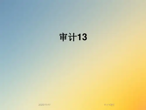 审计13[1]