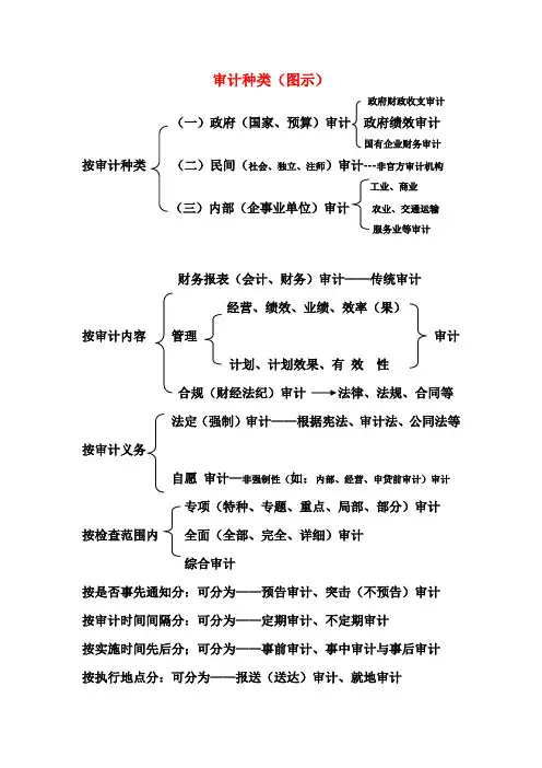 审计种类