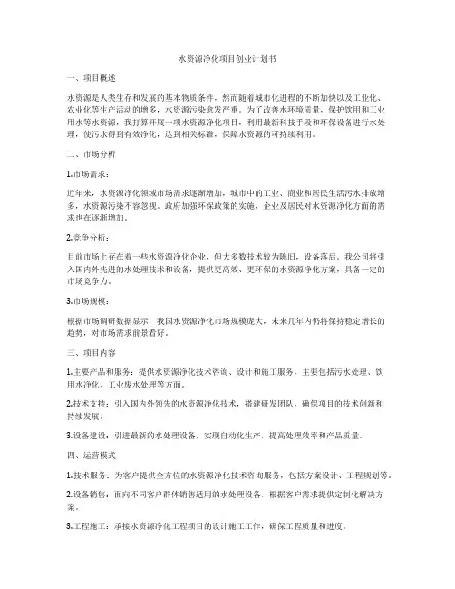 水资源净化项目创业计划书