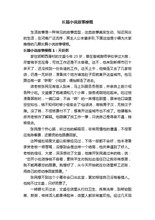长篇小说故事梗概