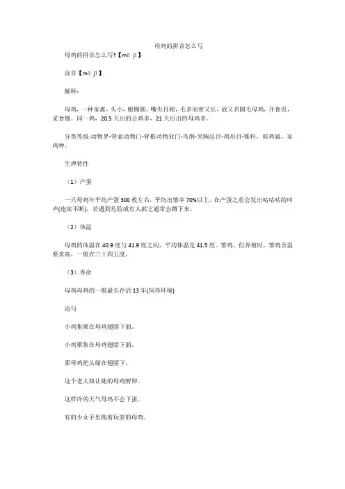 母鸡的拼音怎么写