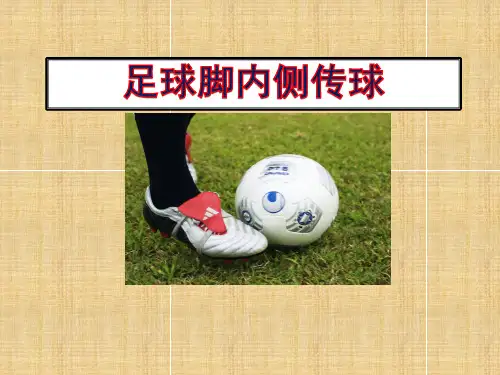 小学室内体育课-小足球—脚背内侧传球