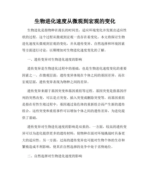 生物进化速度从微观到宏观的变化