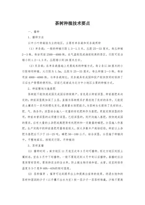 茶树种植技术要点