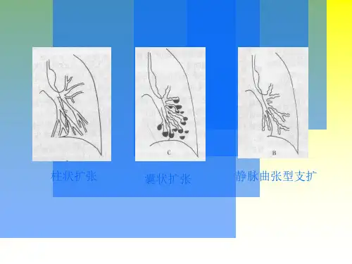 2018年呼吸系统2肺常见疾病的影像表现-文档资料
