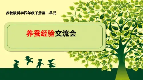 四年级下册科学-养蚕经验交流会-苏教版(共22张)-PPT课堂课件