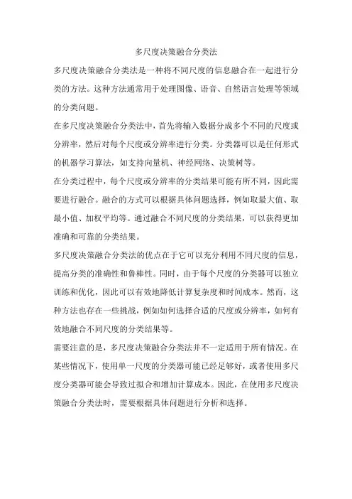 多尺度决策融合分类法