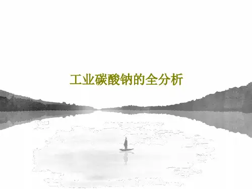 工业碳酸钠的全分析共34页文档