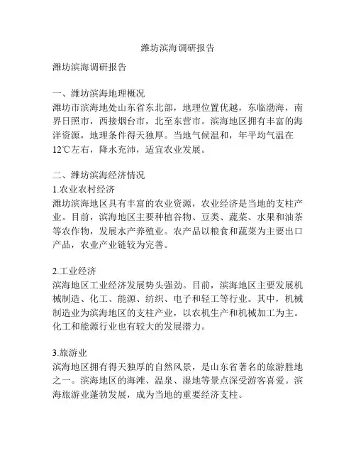 潍坊滨海调研报告
