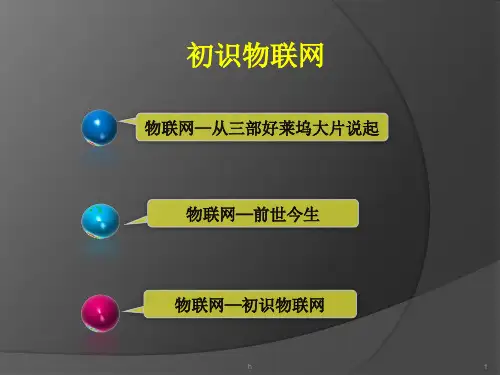 《初识物联网》PPT课件