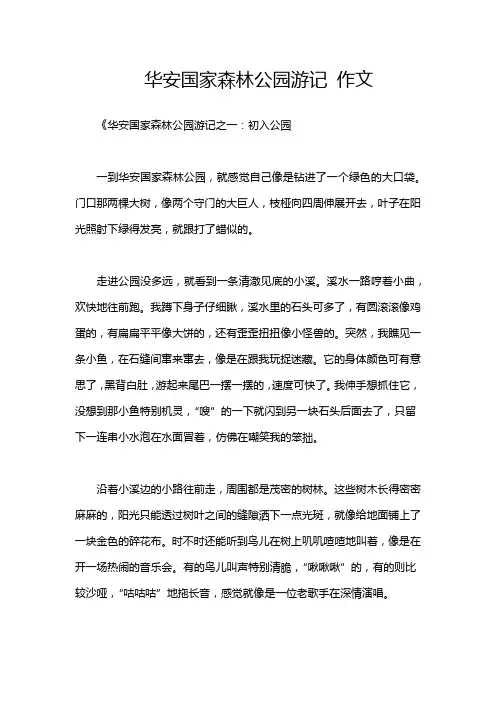 华安国家森林公园游记 作文