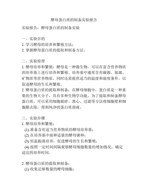 酵母蛋白质的制备实验报告