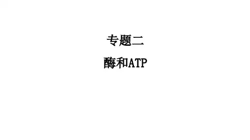 2022届高考生物三轮复习课件：专题二酶和ATP