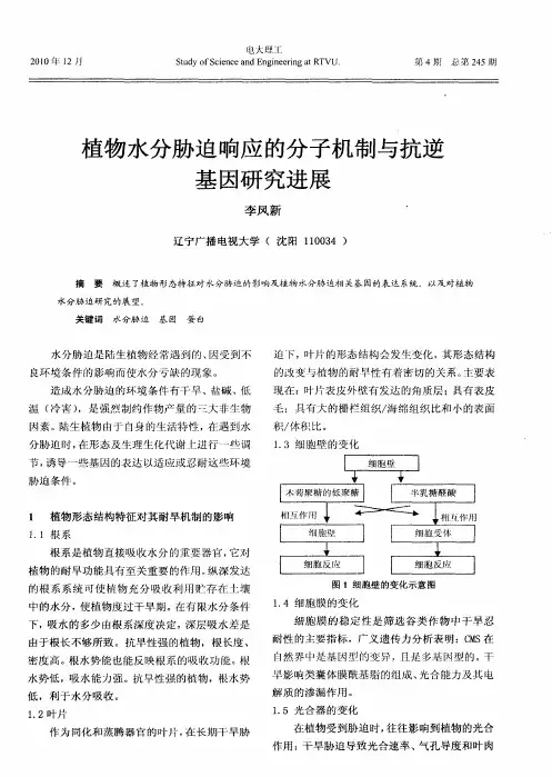 植物水分胁迫响应的分子机制与抗逆基因研究进展