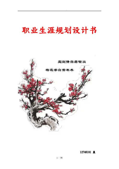 大学生职业生涯规划书视觉传达专业