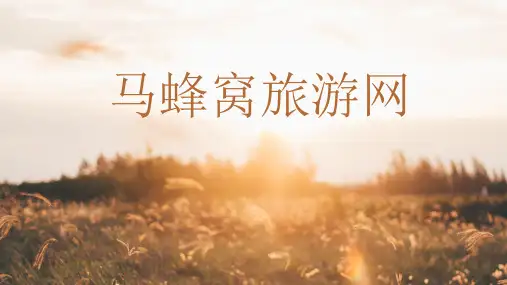 马蜂窝旅游网商业模式分析