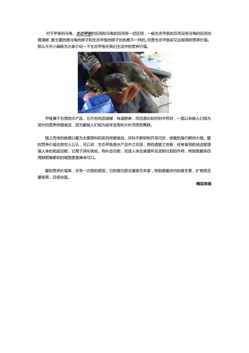野生甲鱼对于人体的营养价值