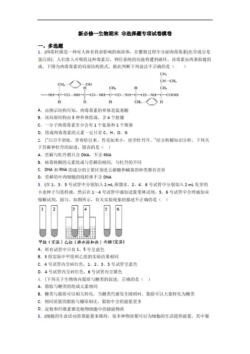 新必修一生物期末 非选择题专项试卷模卷